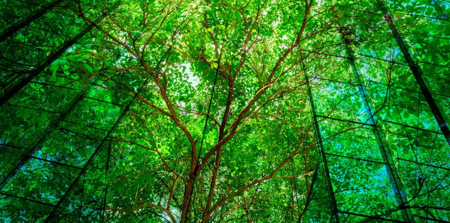 KPMGコンサルティング、JR九州が取り組む脱炭素化推進プロジェクトを支援